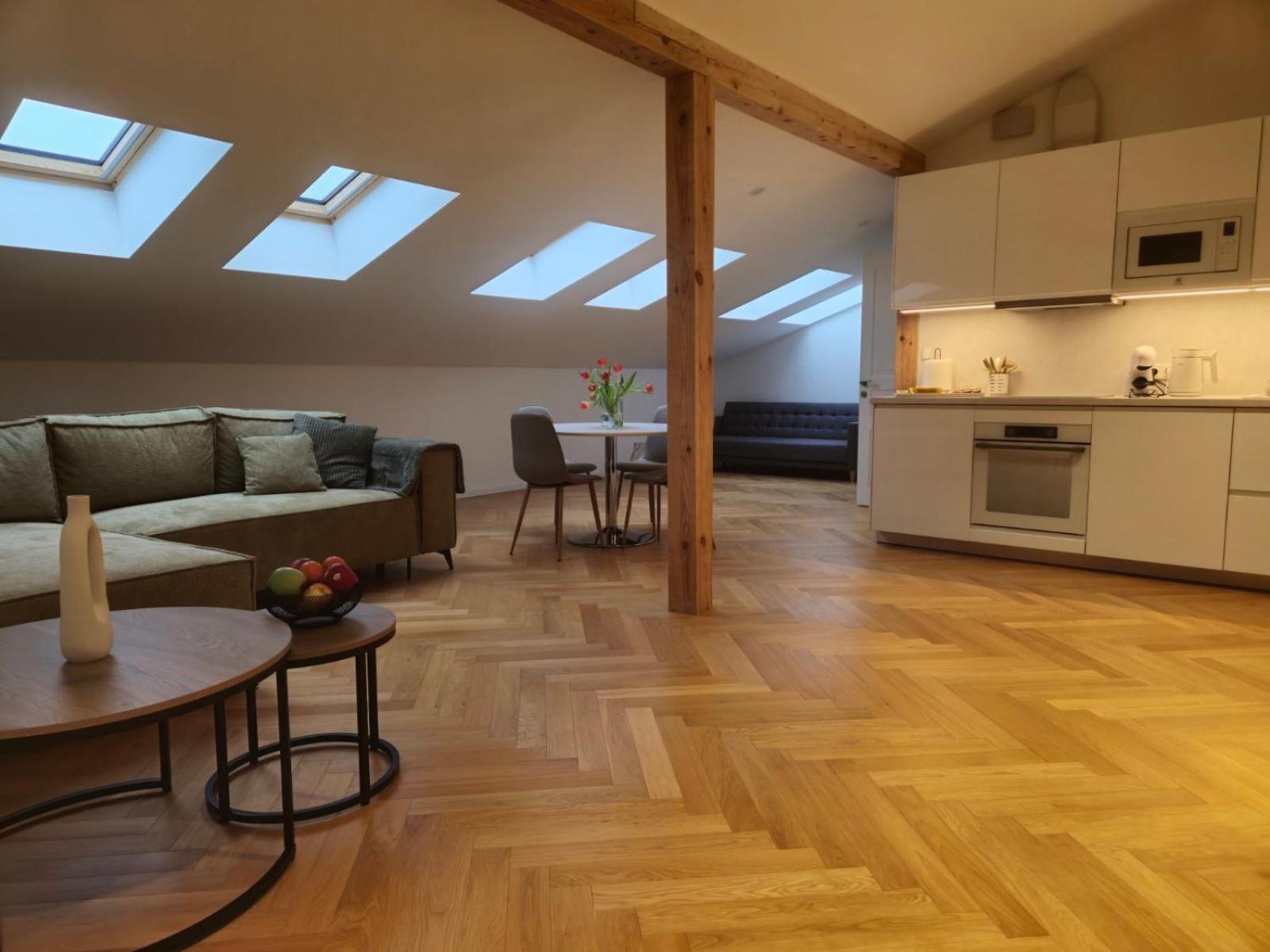 Suur-karja Penthouse *